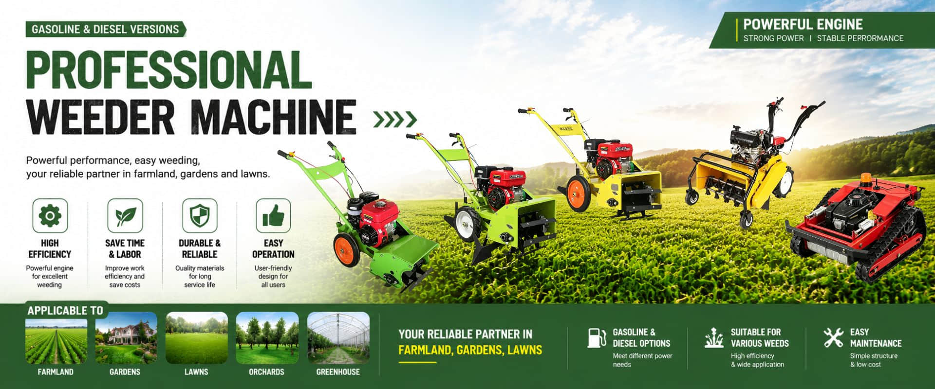 Jinan Kelesen International Co., Ltd