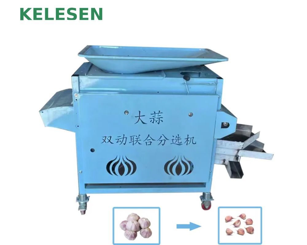 Garlic clove separating machine  